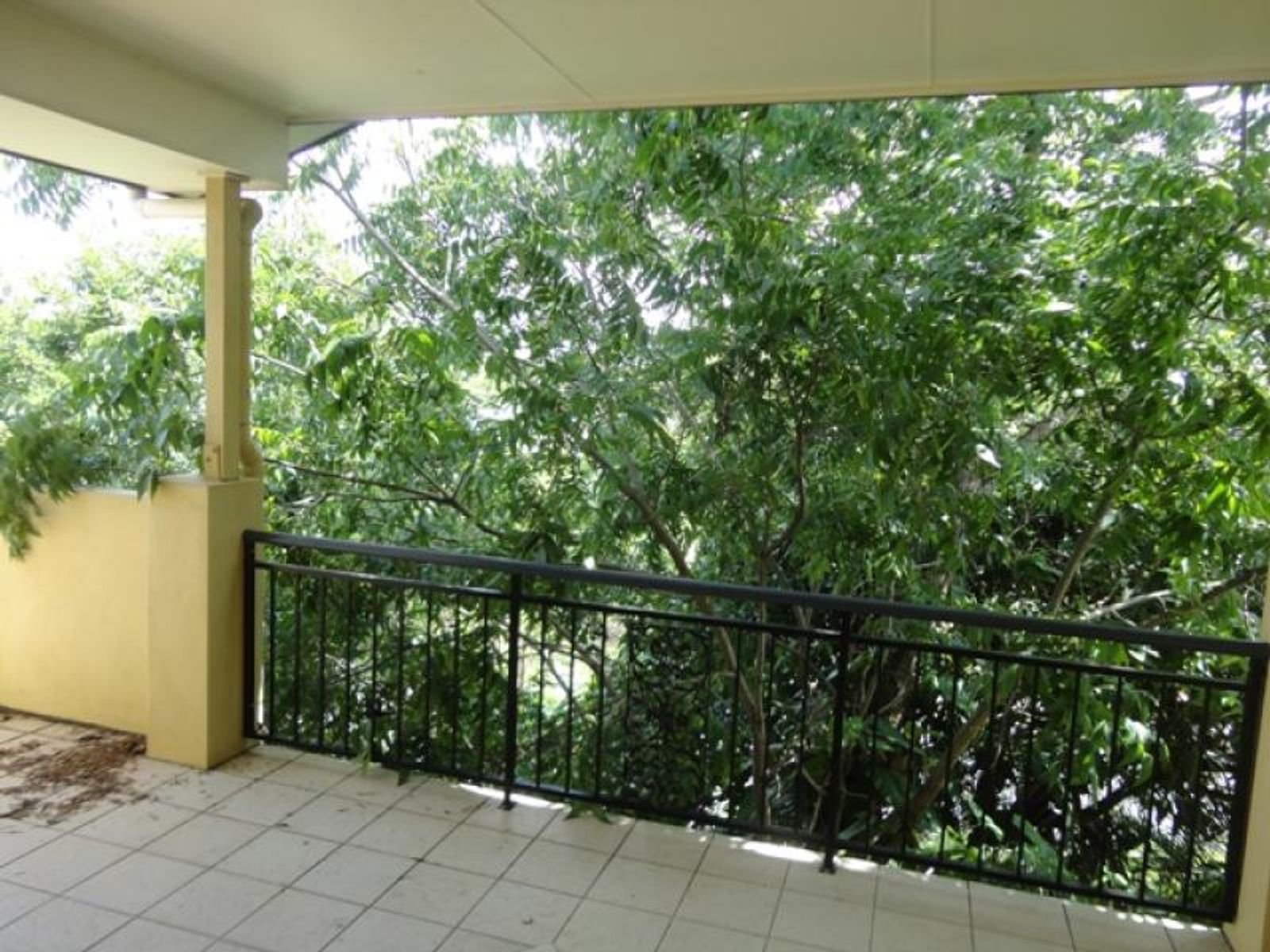 3 Shottery Street, Yeronga, QLD 4104